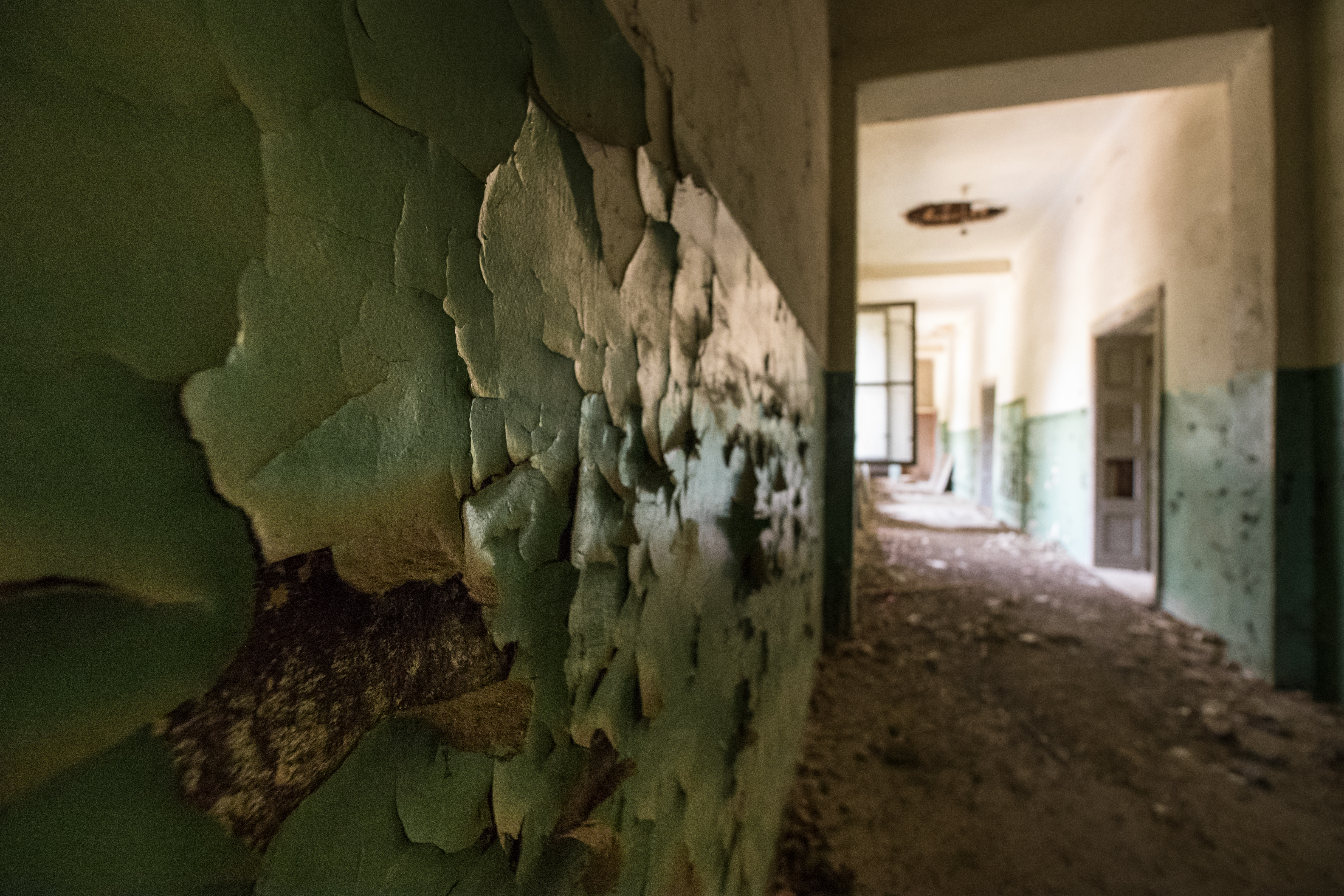 Close-up of peeling green paint on a wall in an abandoned building's hallway.