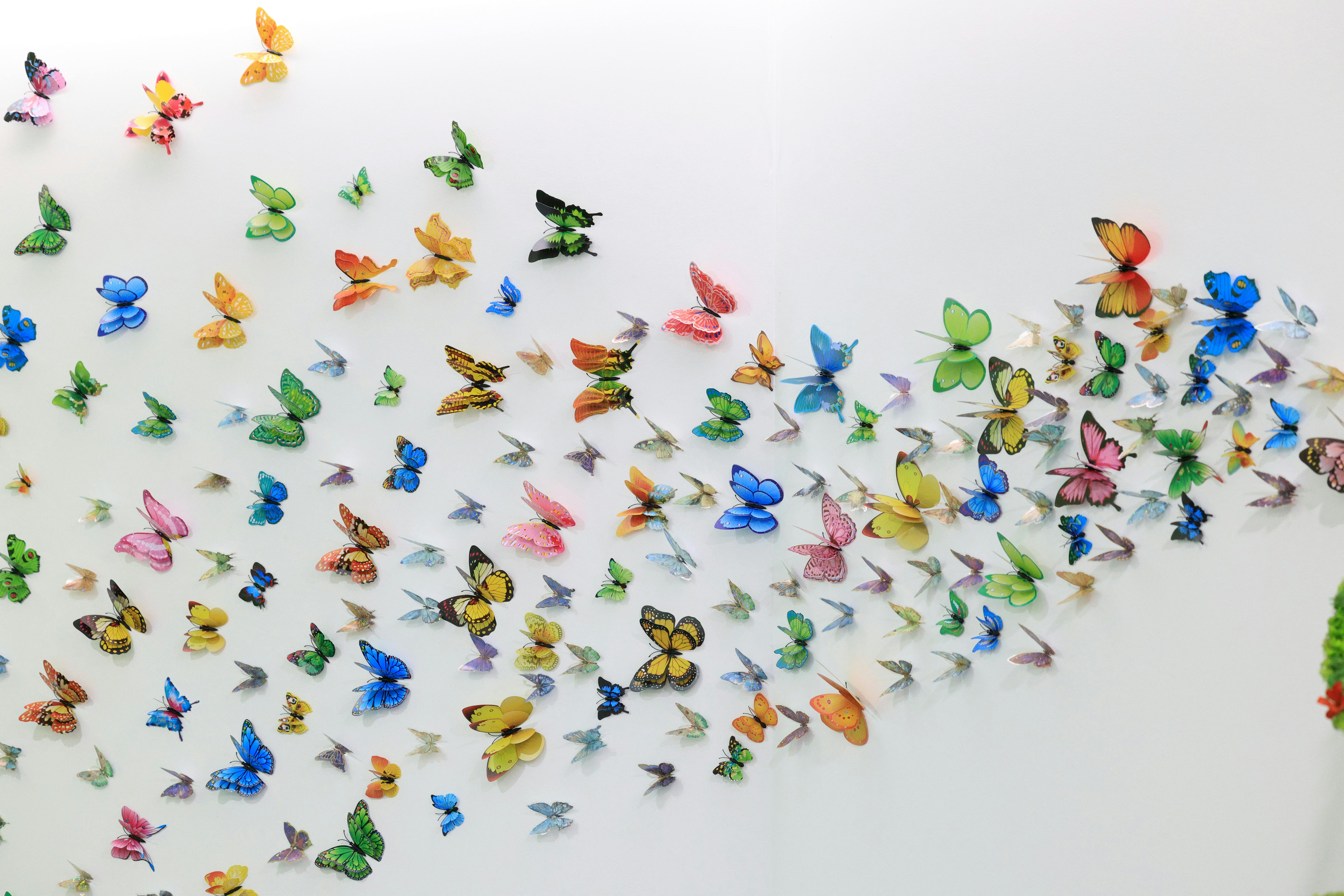 vibrant-butterfly-wall-art-installation