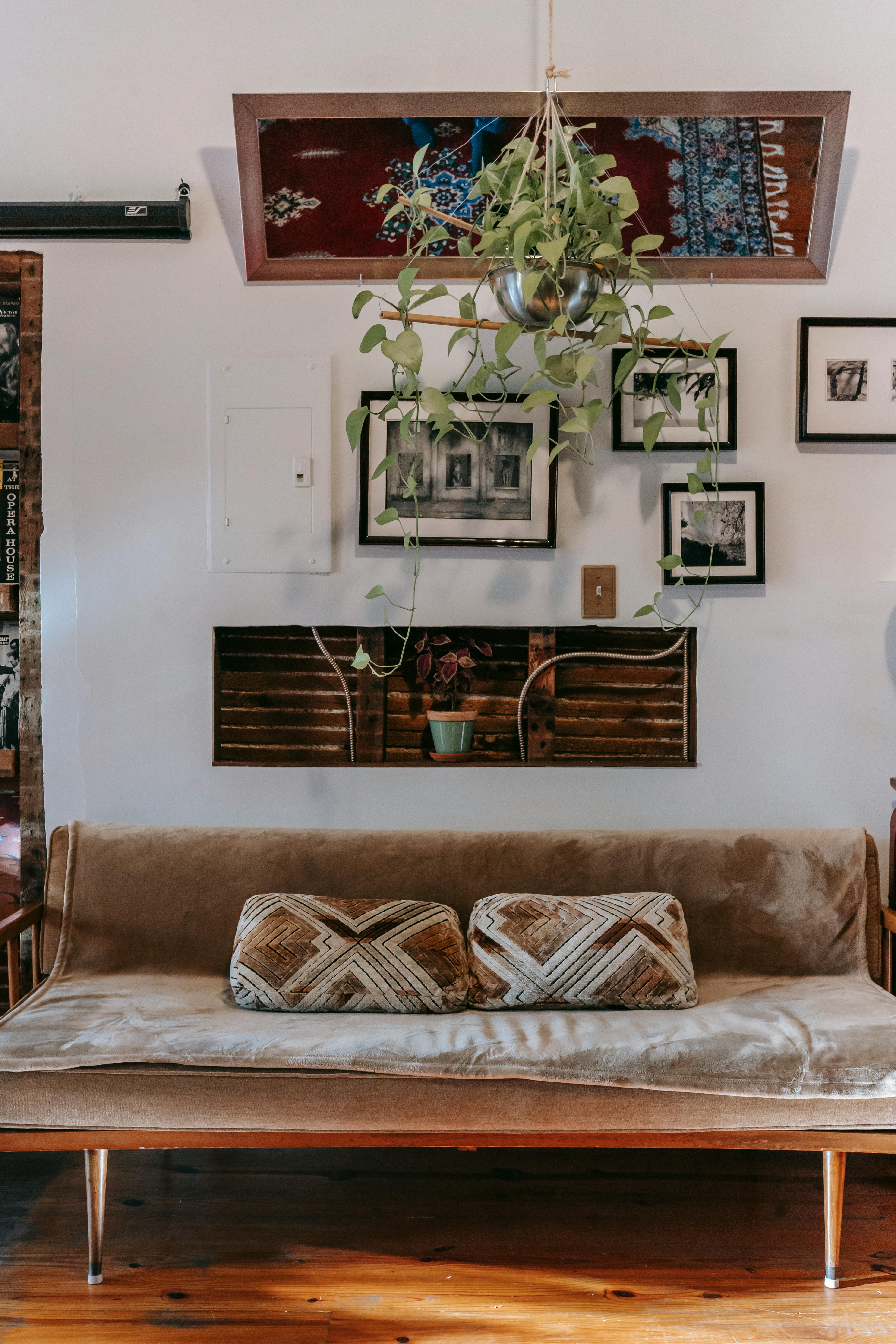 Comfortable tan velvet couch with patterned throw pillows in a living room with a gallery wall and hanging plant.