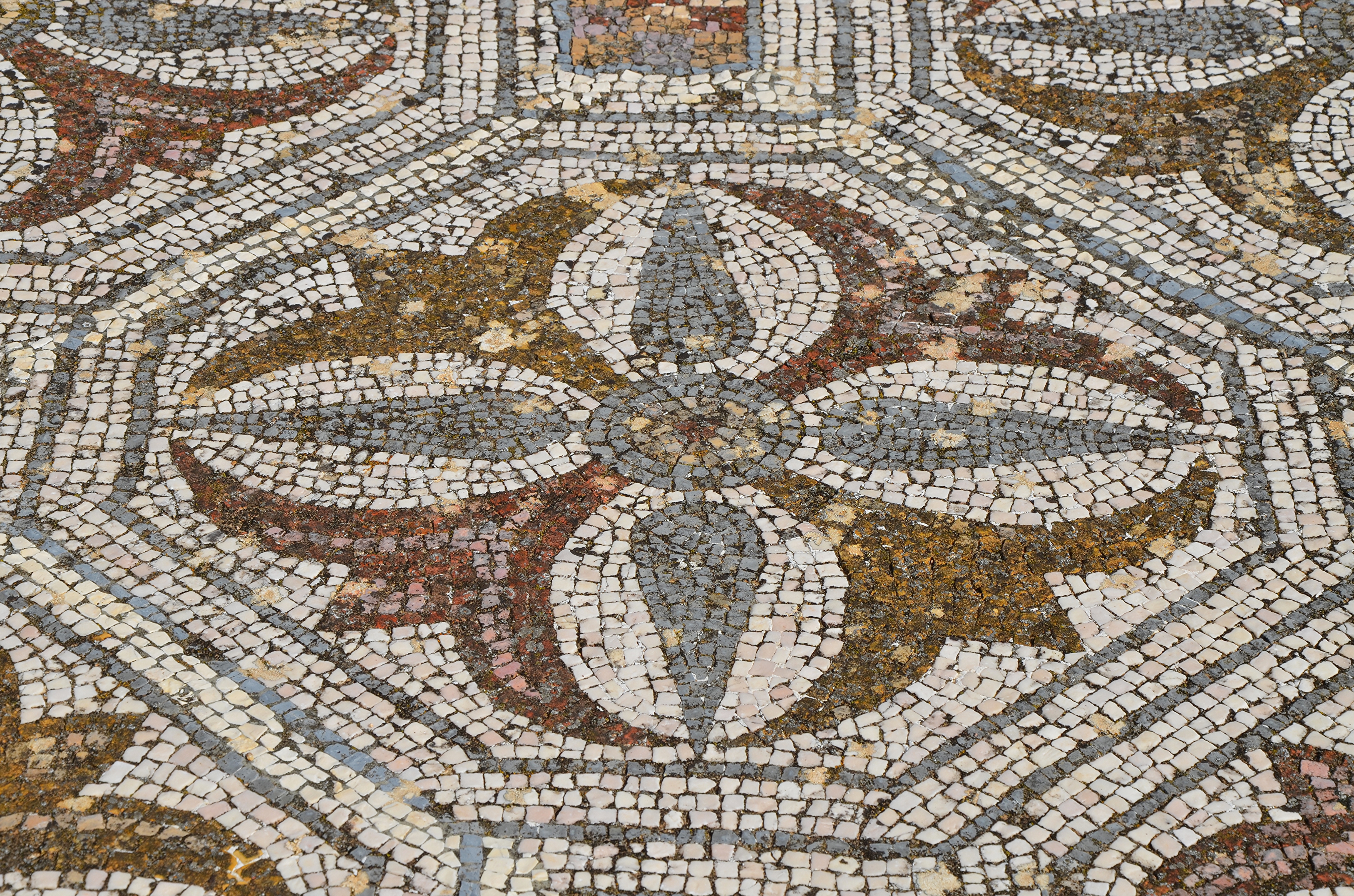 Roman mosaic floor featuring intricate geometric patterns and naturalistic motifs, crafted from small tesserae.