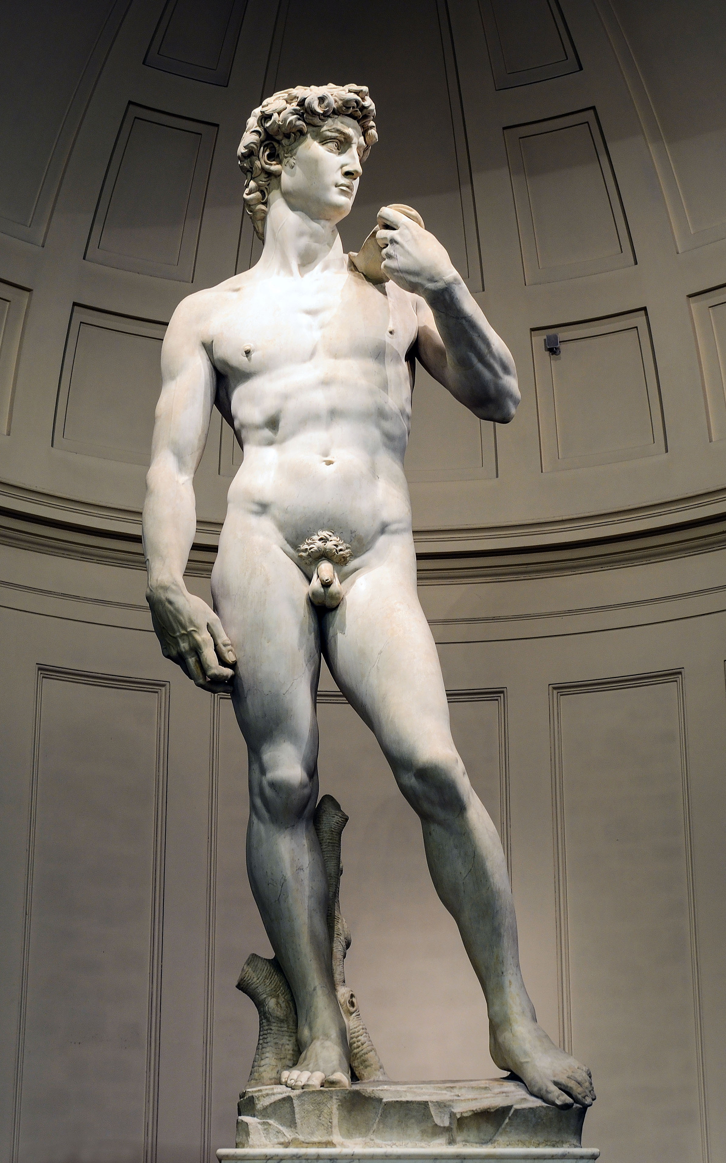 Michelangelo's David statue, a Renaissance masterpiece of a nude male figure holding a sling.