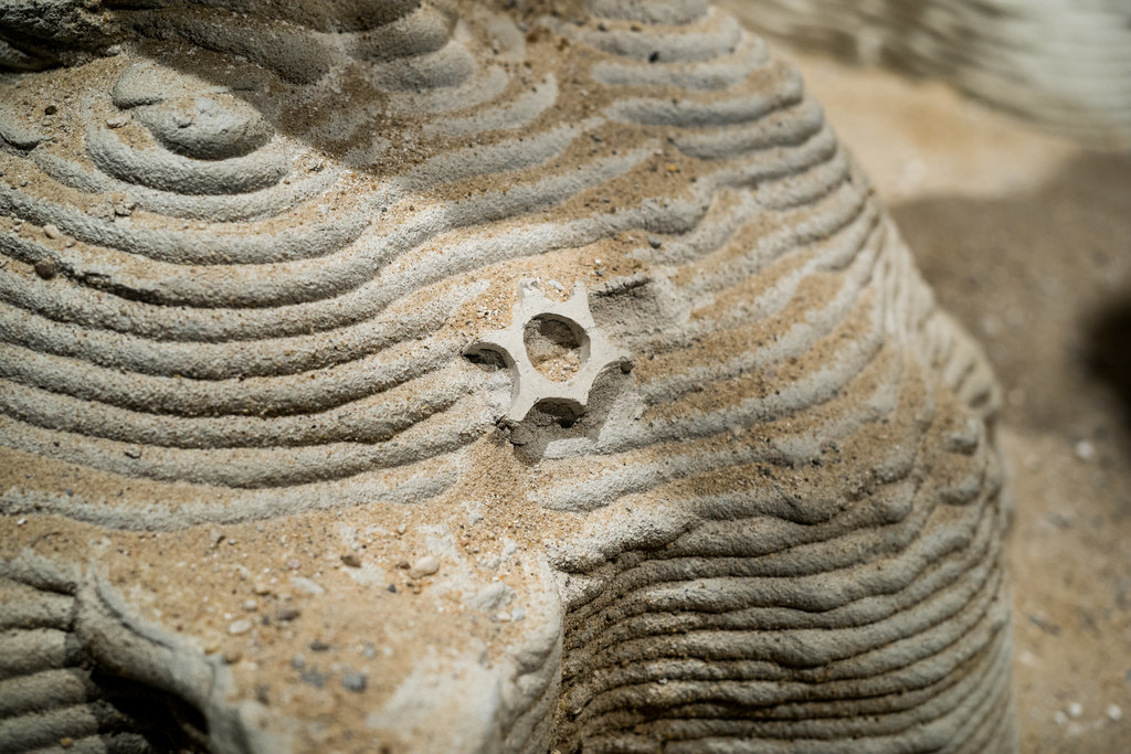 Close-up of a 3D printed concrete sculpture with a star-shaped cutout, resembling organic or biological structures.