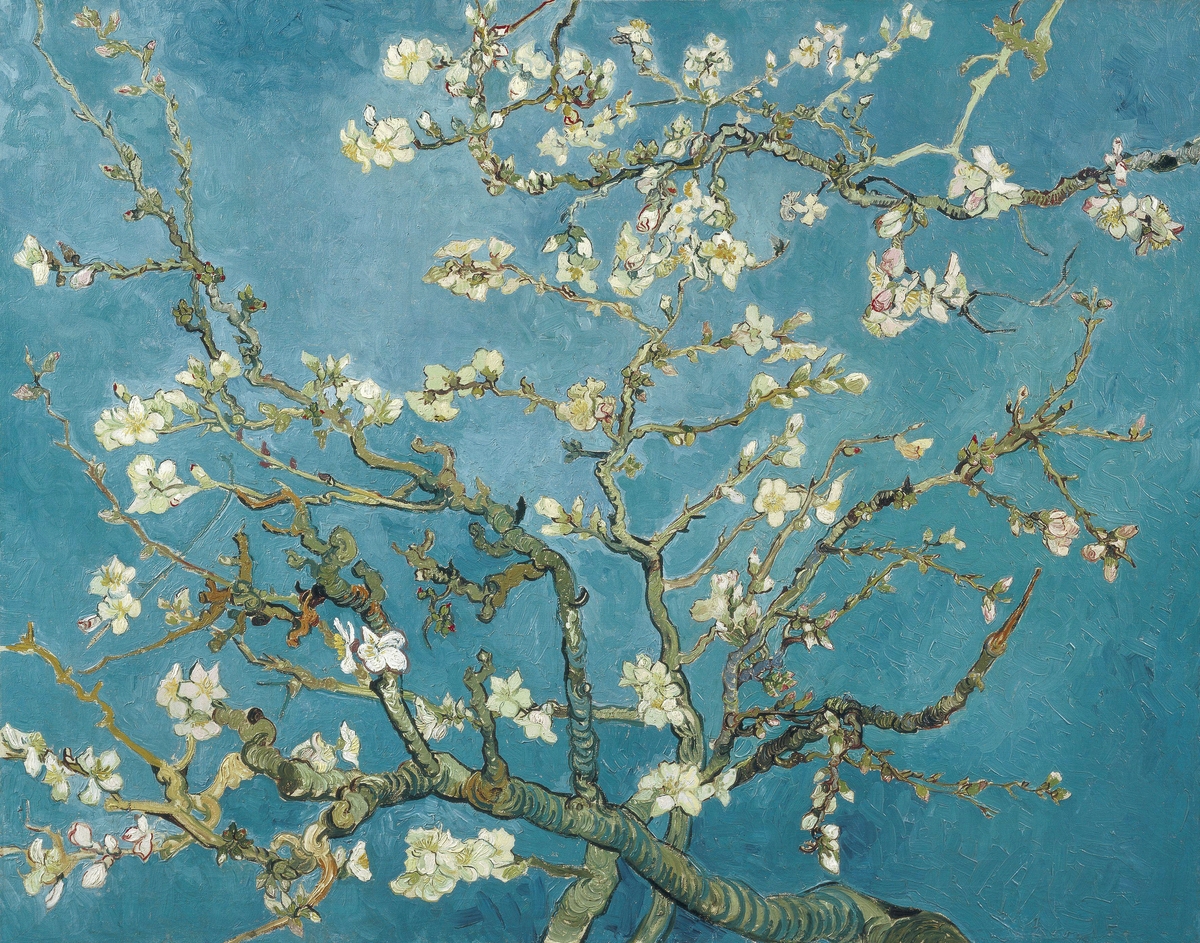 Vincent van Gogh's "Almond Blossoms" featuring white and pale pink flowers on dark branches against a clear blue sky.